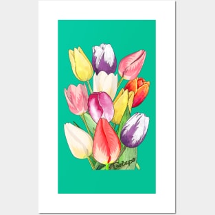 Tulips-Spring flowers Posters and Art